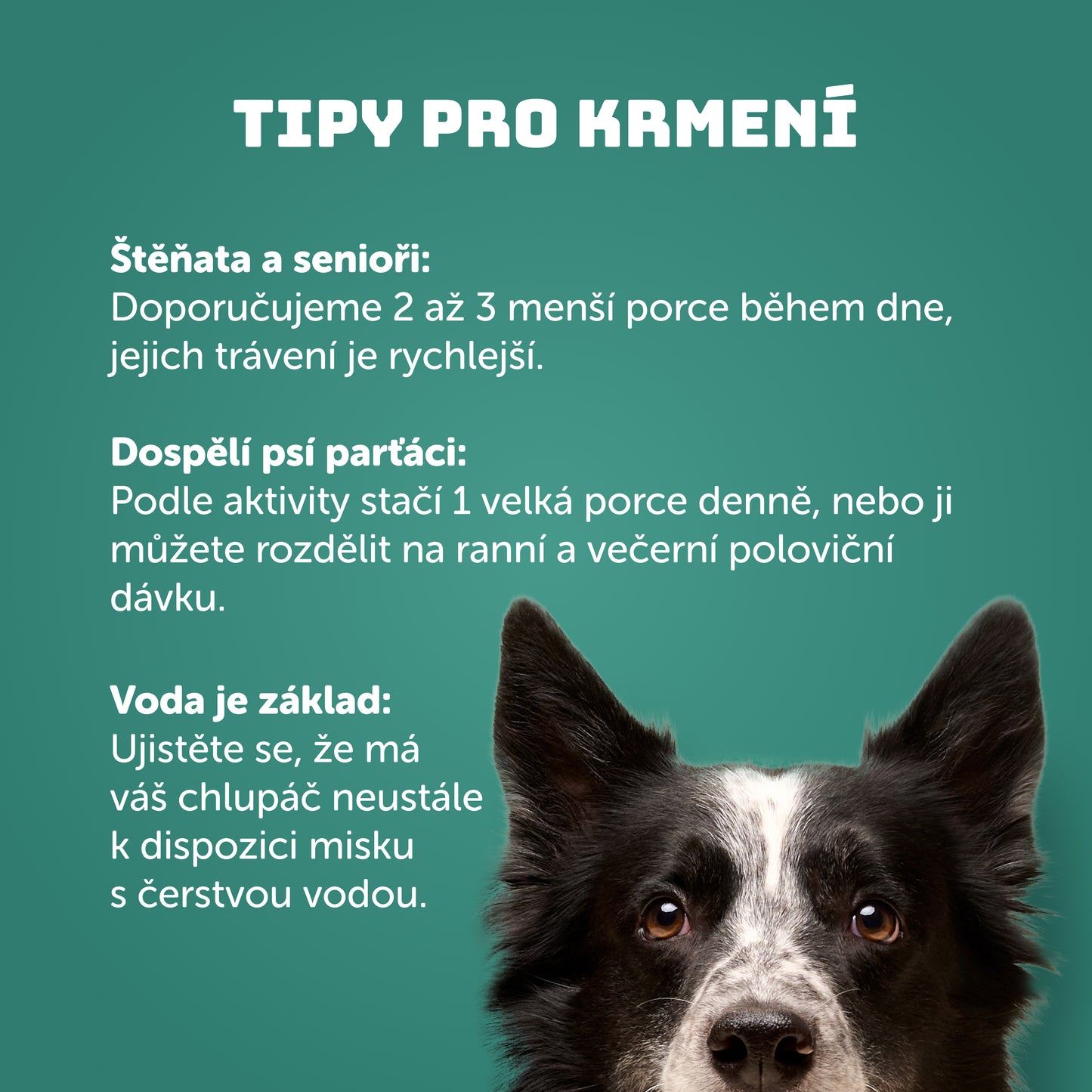 Výhodné balenie 6 ks - Morčacie s lososom a žihlavou 1200g