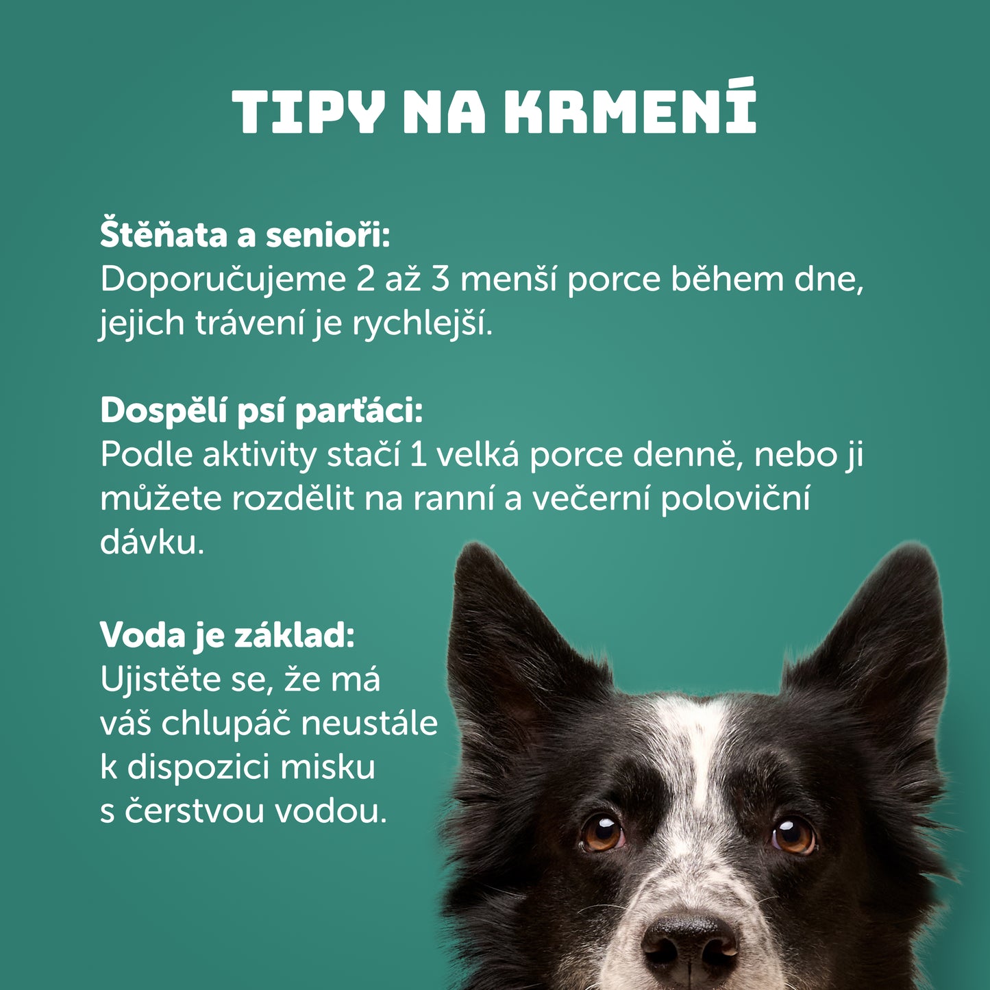 Krůtí s lososem a kopřivou 400g