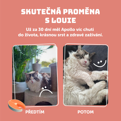 Losos s prebiotiky 400g