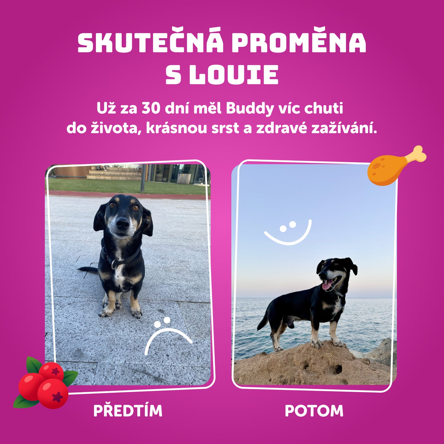 Ochutnávkový balíček 400g - 16ks