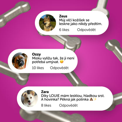 Ochutnávkový balíček 400g - 16ks