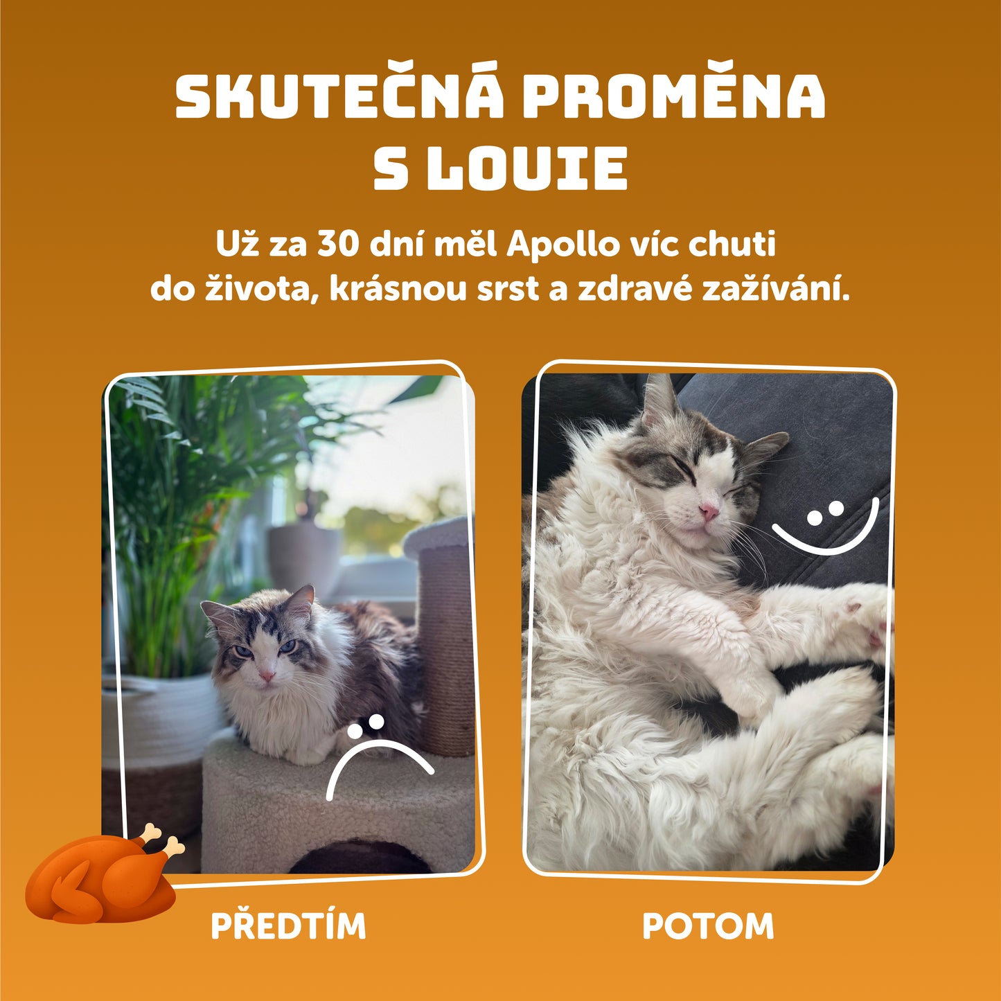 Kuřecí s prebiotiky 200g