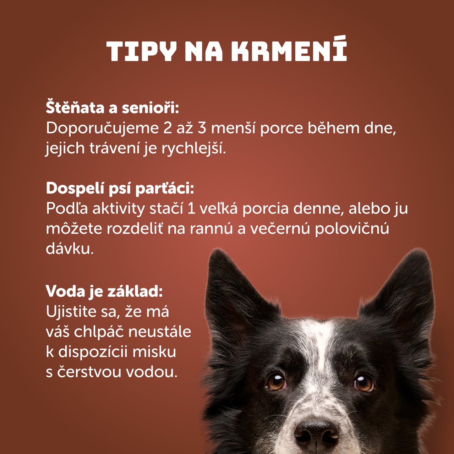 Výhodné balení 8ks - Hovězí s dýní, cuketou a prebiotiky 400g