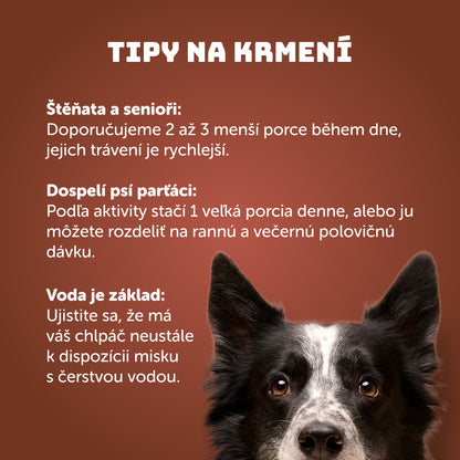 Výhodné balení 8ks - Hovězí s dýní, cuketou a prebiotiky 400g