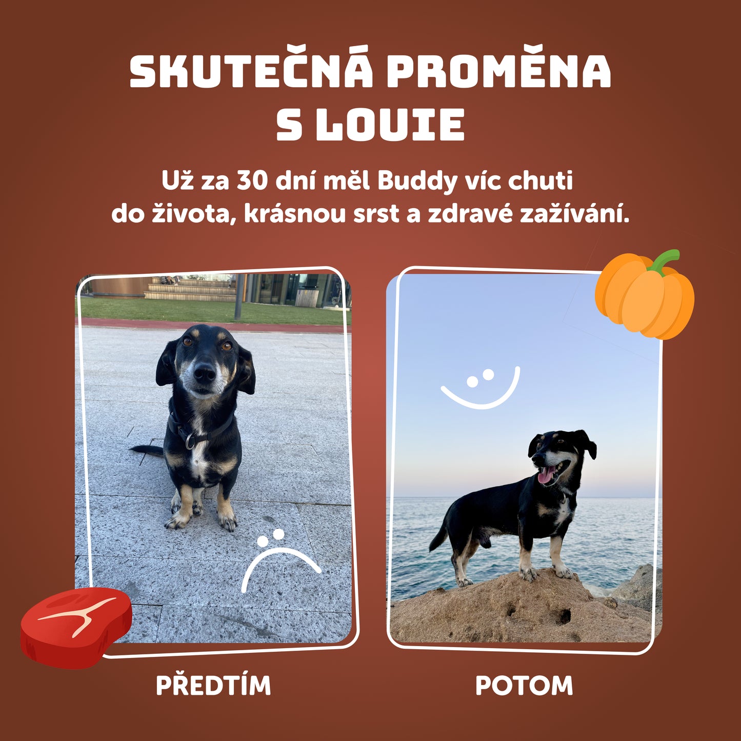 Výhodné balení 8ks - Hovězí s dýní, cuketou a prebiotiky 400g