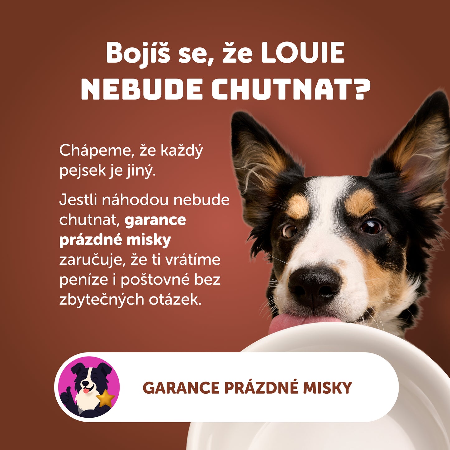 Výhodné balení 8ks - Hovězí s dýní, cuketou a prebiotiky 400g