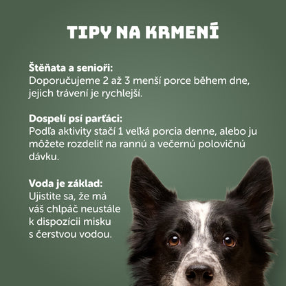 Výhodné balenie 16ks - Zvěřina s brusinkami a prebiotiky 400g