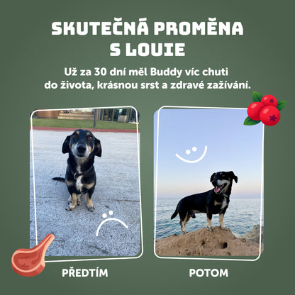 Výhodné balenie 16ks - Zvěřina s brusinkami a prebiotiky 400g