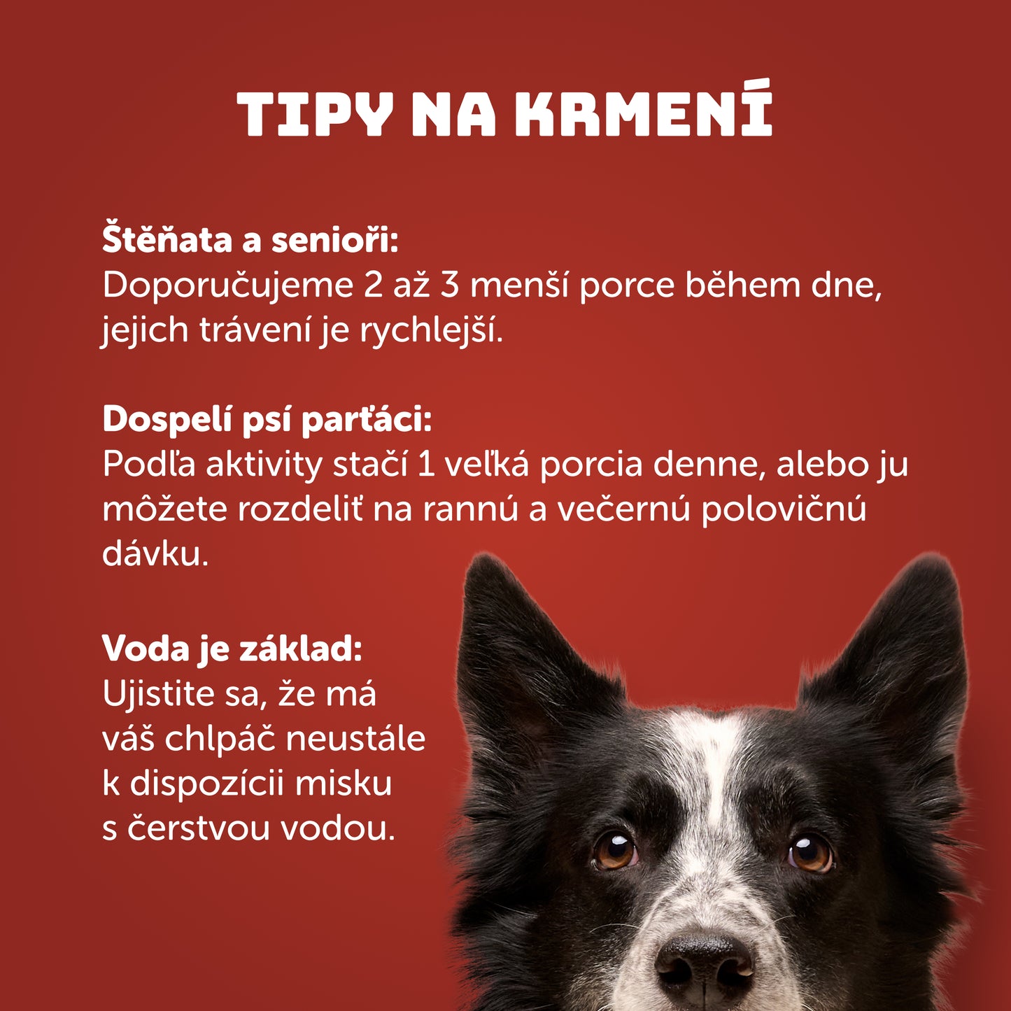 Výhodné balení 8ks - Vánoční kapr s rýží - 400g