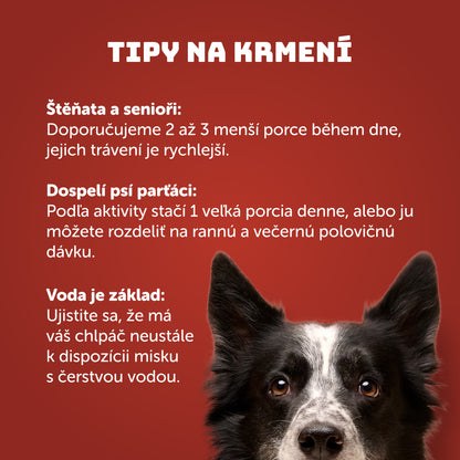 Výhodné balení 8ks - Vánoční kapr s rýží - 400g