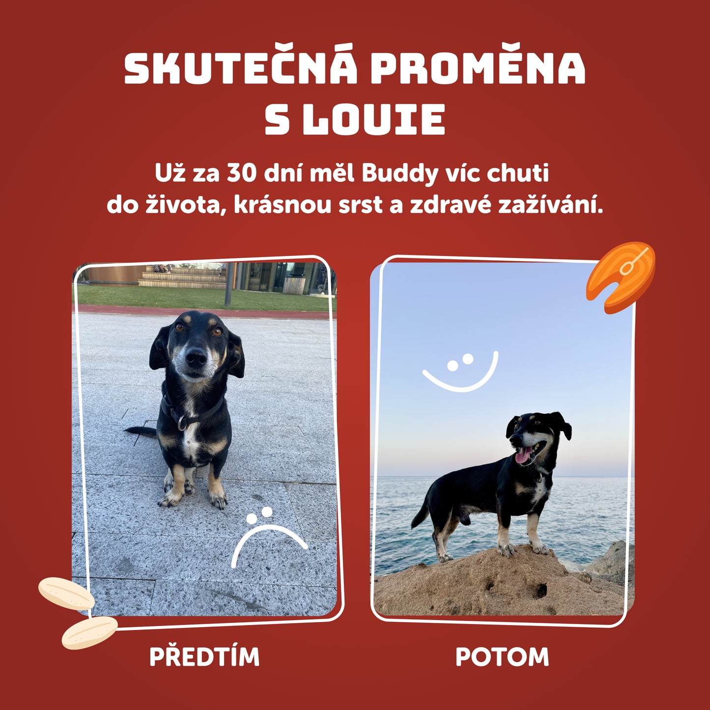 Výhodné balení 8ks - Vánoční kapr s rýží - 400g