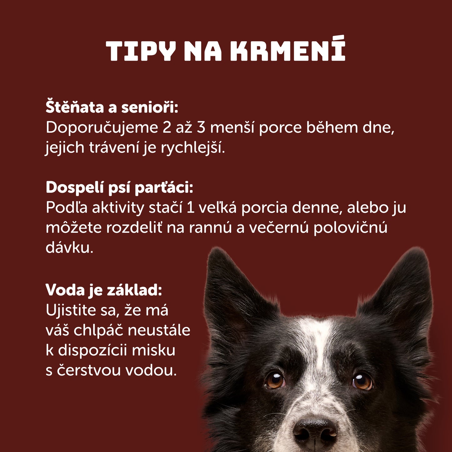 Sváteční balíček 15ks - 400g