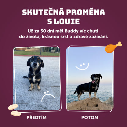 Husa s nádivkou 400g