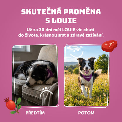 Telecí s šípky, batáty a prebiotiky 400g