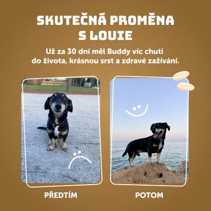 Výhodné balenie 8 ks - Hovädzie s ryžou 400g