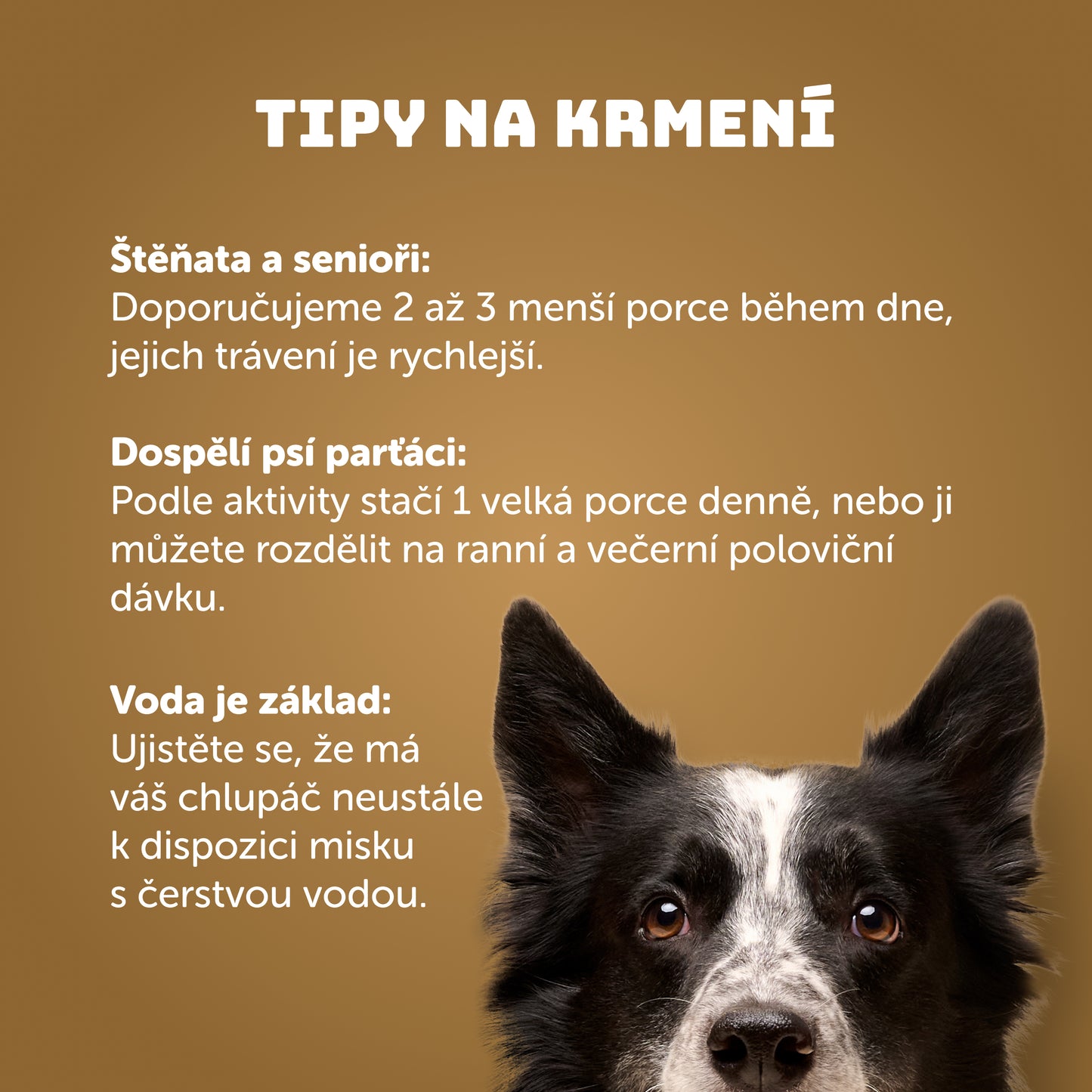 Výhodné balenie 8 ks - Hovädzie s ryžou 400g