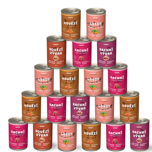 Balíček imunita a Vitalita 20ks - 400g