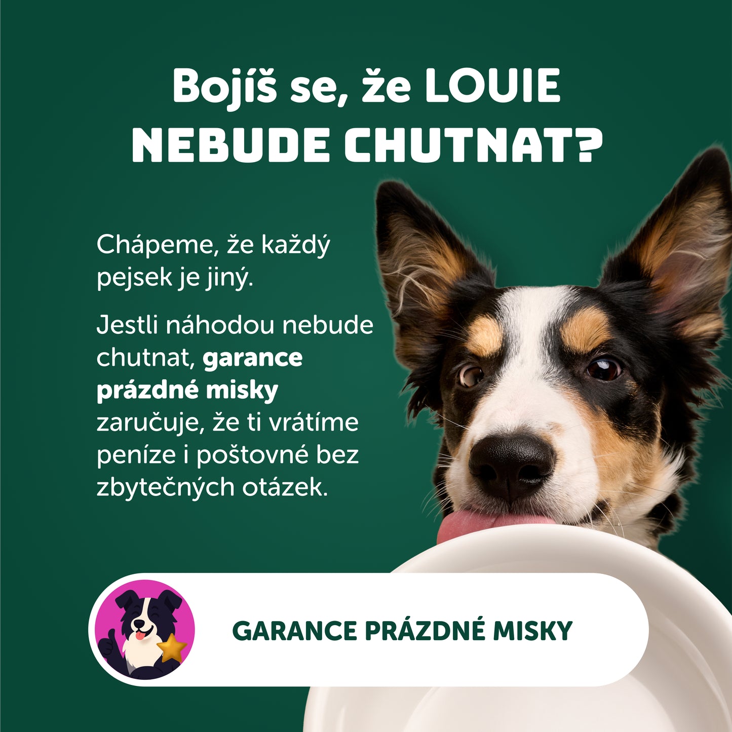 Výhodné balení 8ks - Krůtí s brusinkami, pastiňákem a prebiotiky 400g
