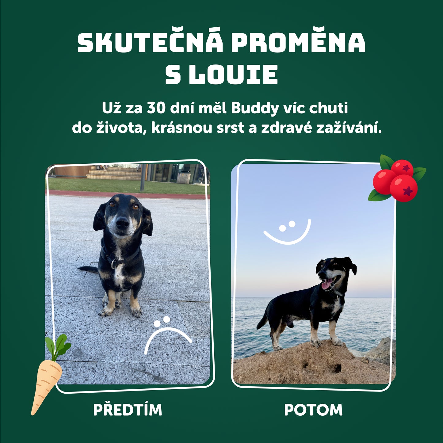 Výhodné balení 8ks - Krůtí s brusinkami, pastiňákem a prebiotiky 400g