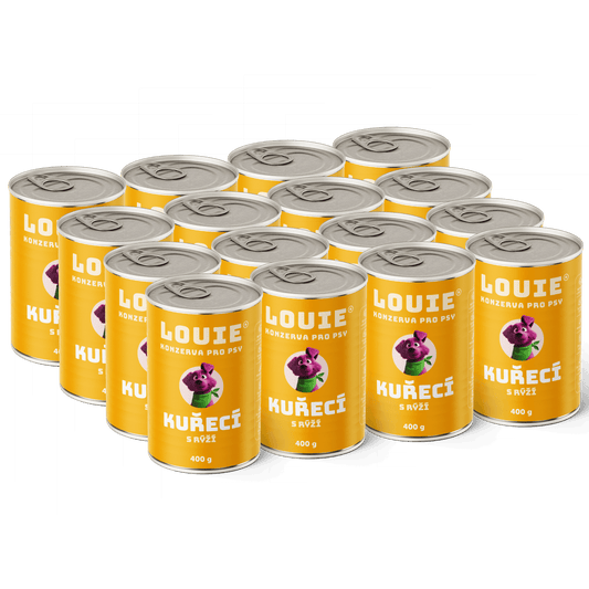 Kuřecí s rýží | 16ks | 400g