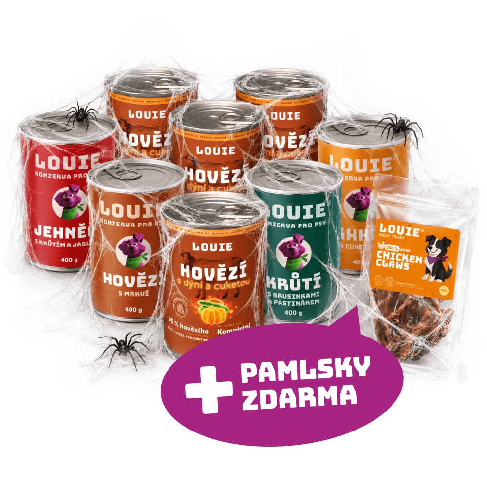 Halloweenský balíček | 8ks | 400g + pamlsky zdarma