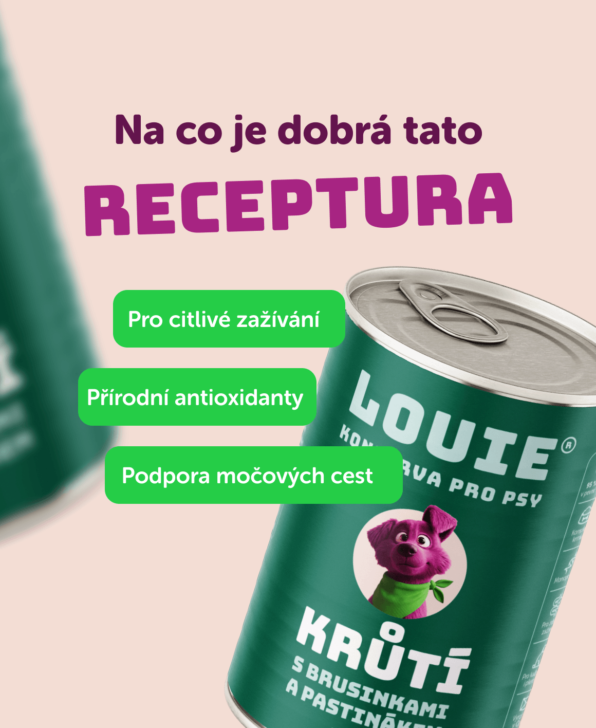Vorteilspack – 8 x Pute mit Preiselbeeren, Pastinaken und Präbiotika 400 g
