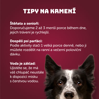 Výhodné balení 8ks - Kachní se spirulinou a prebiotiky 400g