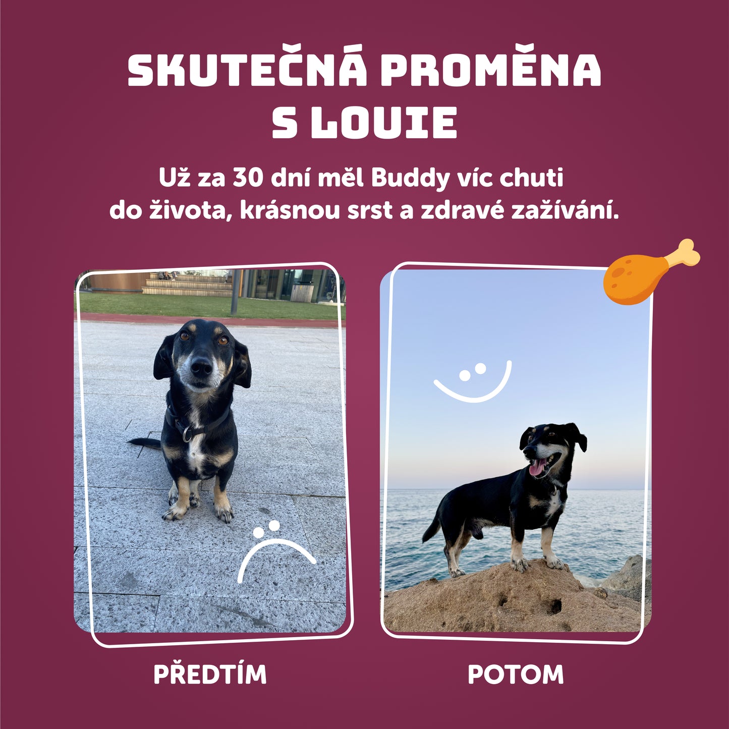 Kachní vývar 400g