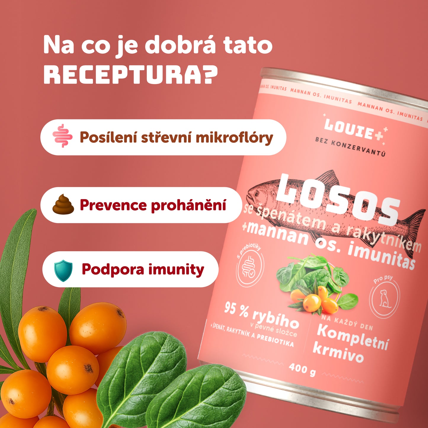 Losos s rakytníkem, špenátem a prebiotiky 400g