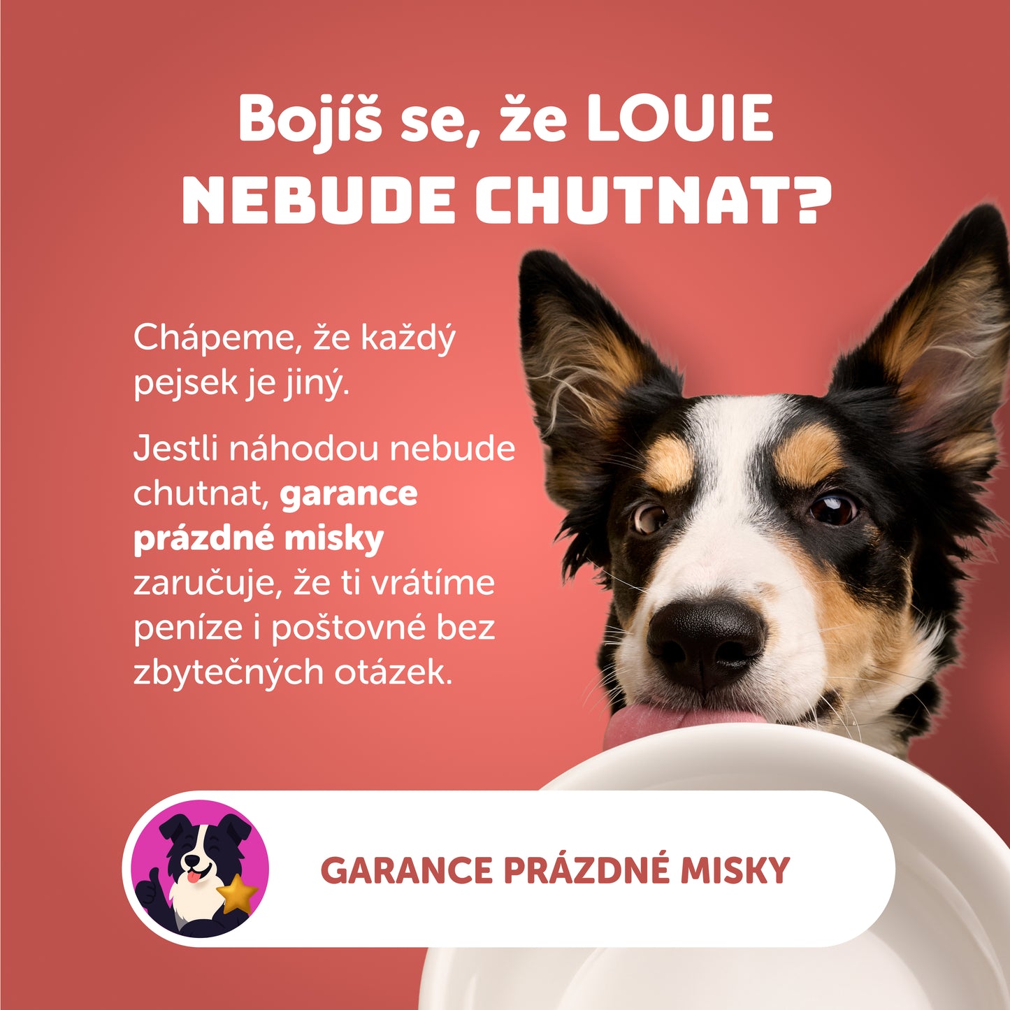 Losos s rakytníkem, špenátem a prebiotiky 400g