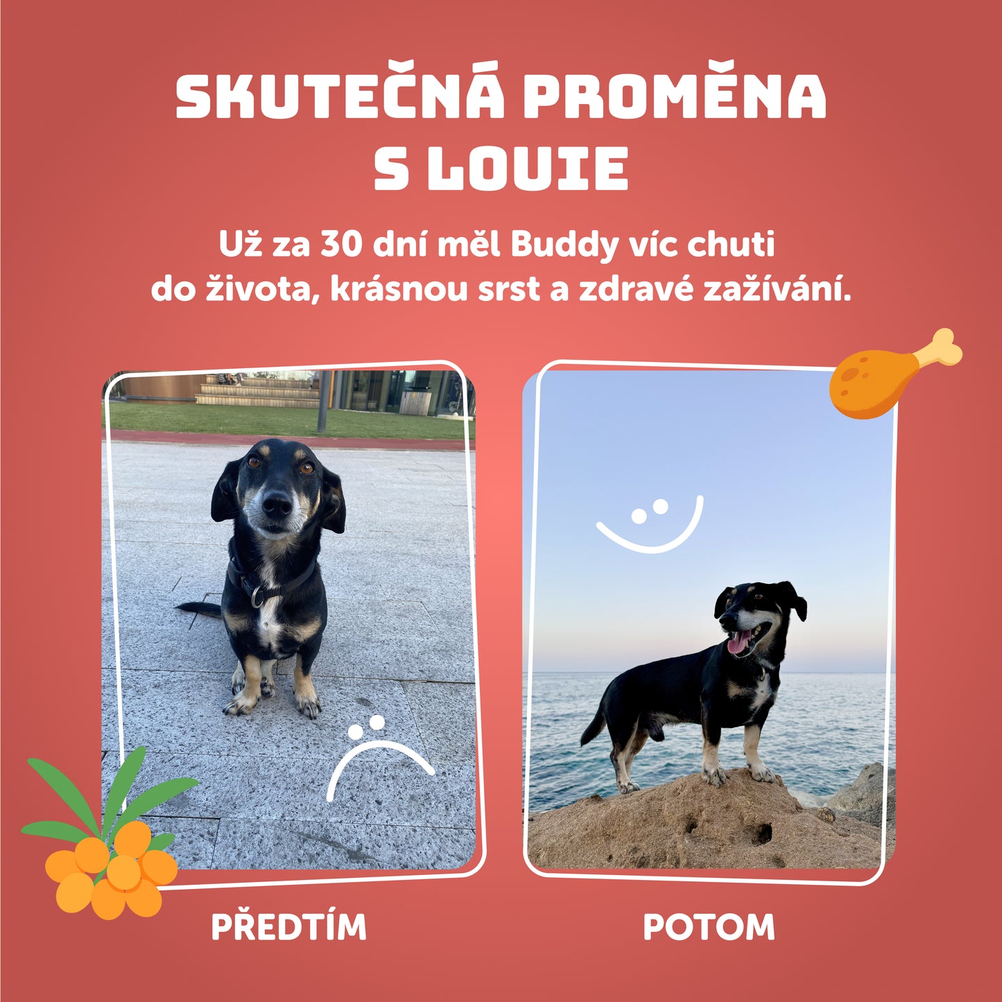 Losos s rakytníkem, špenátem a prebiotiky 400g