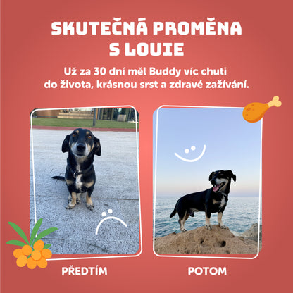 Losos s rakytníkem, špenátem a prebiotiky 400g