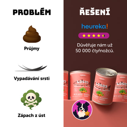 Losos s rakytníkem, špenátem a prebiotiky 400g