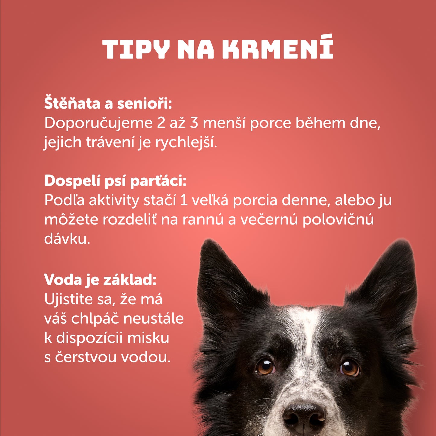 Losos s rakytníkem, špenátem a prebiotiky 400g