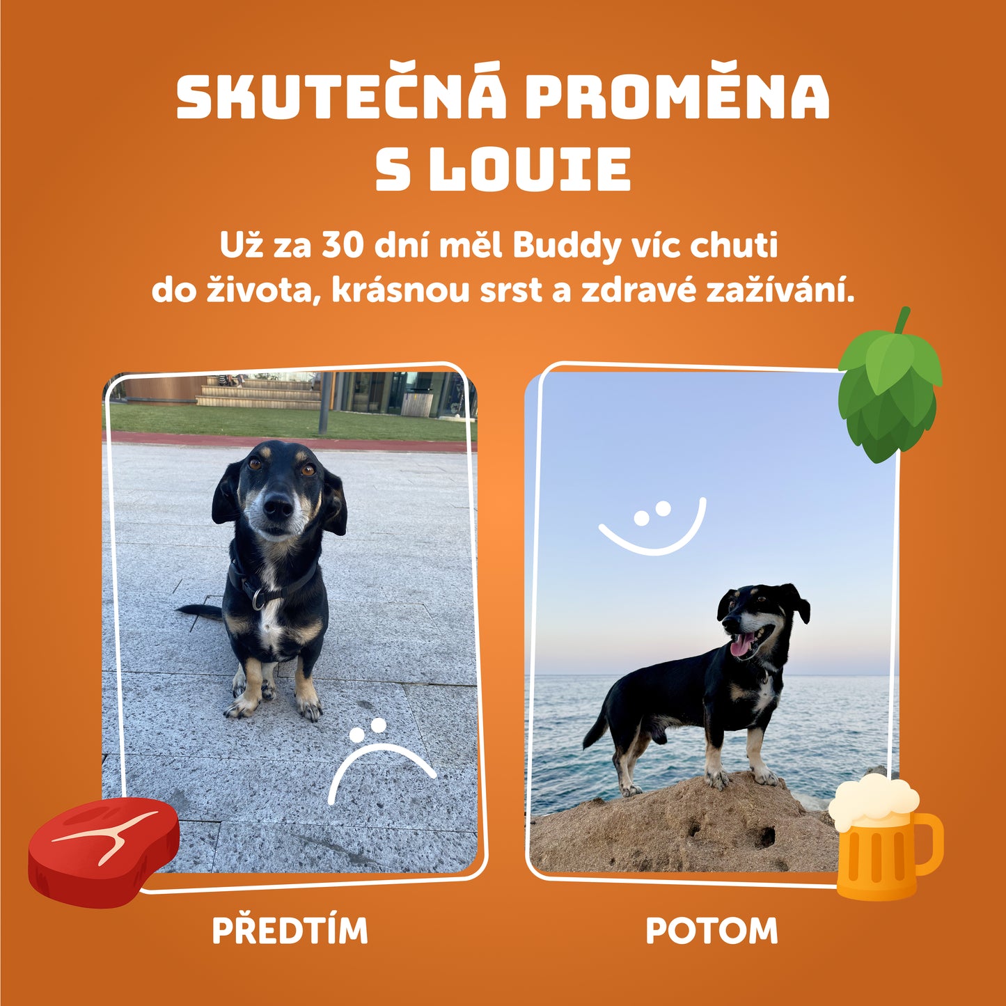 Pivní hovězí s mrkví a pivovarskými kvasnicemi 400g - limitovaná edice