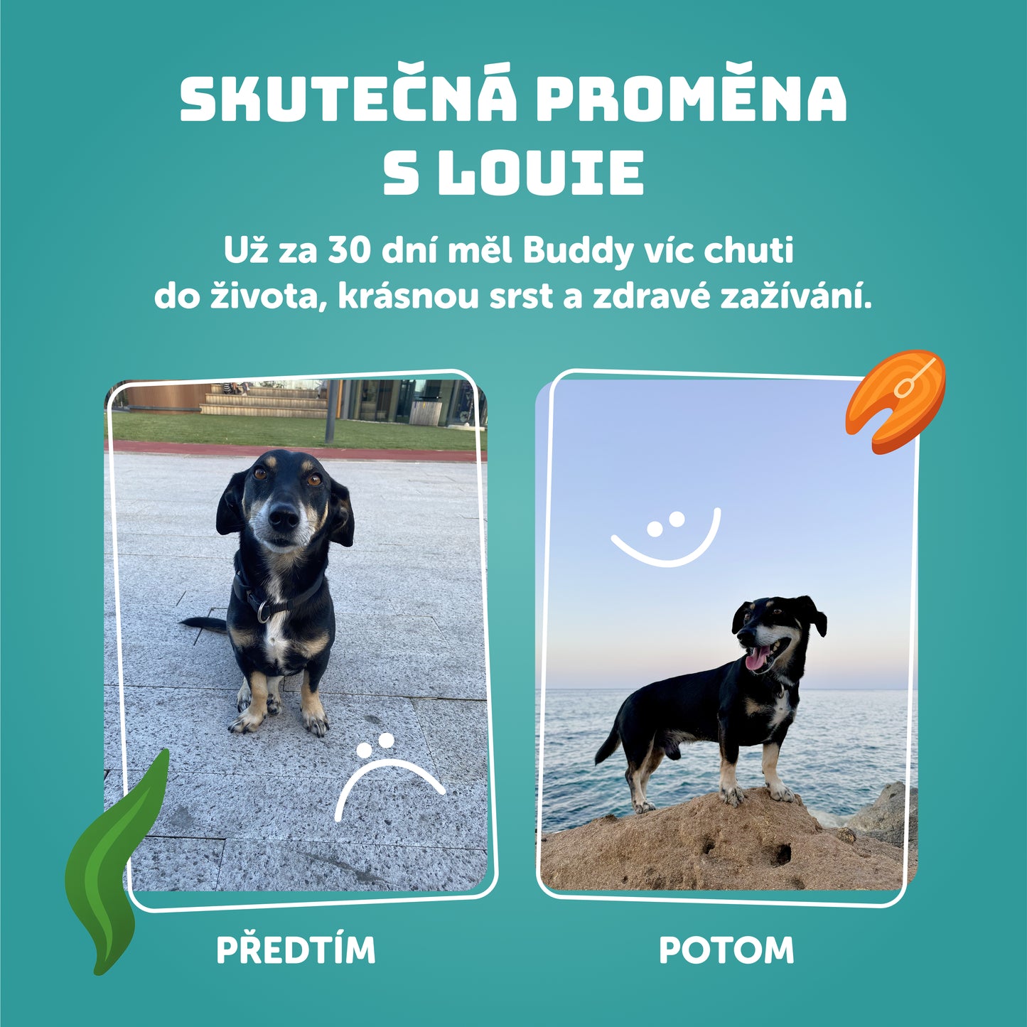 Rybí s řasami 400g