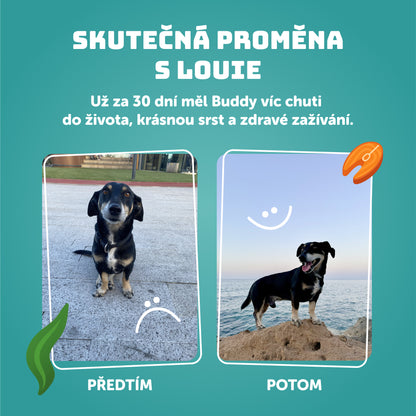 Rybí s řasami 400g