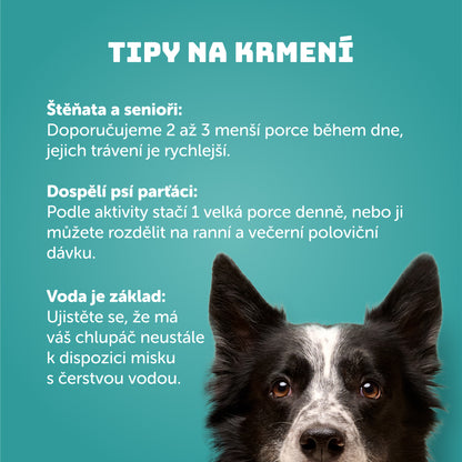 Rybí s řasami 400g